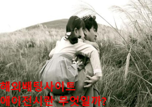 해외배팅사이트